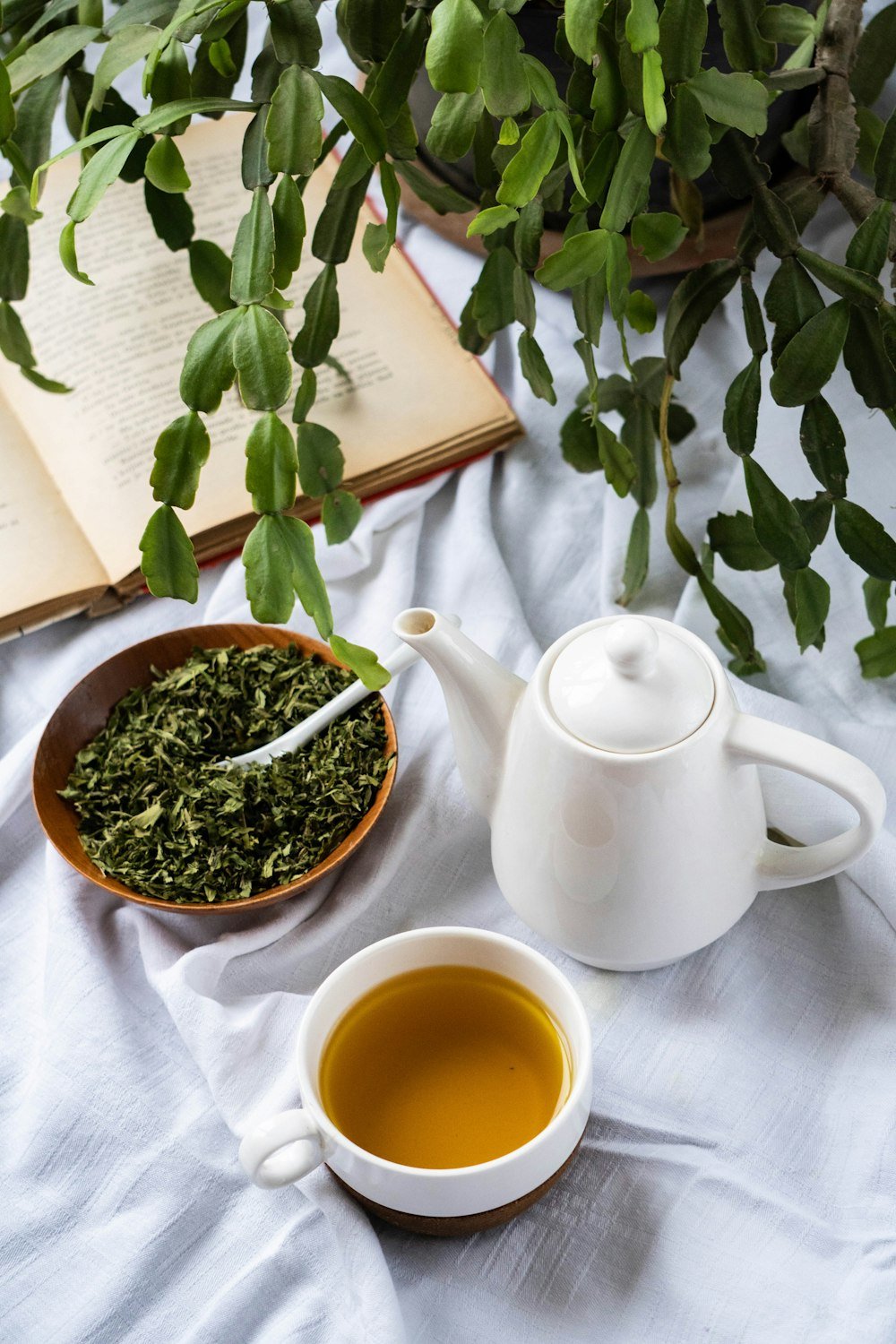 A cup of herbal tea with a white teapot, dried herbs and an open book among green leaves